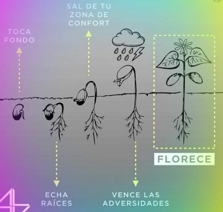 WhatsApp Image 2019-02-18 at 23.02.01